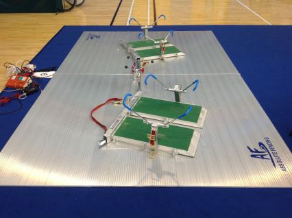 Wheelchair Fencing Strip (3Mx4M)